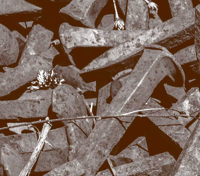 TrackLine Services OTM Pickup And Disposal