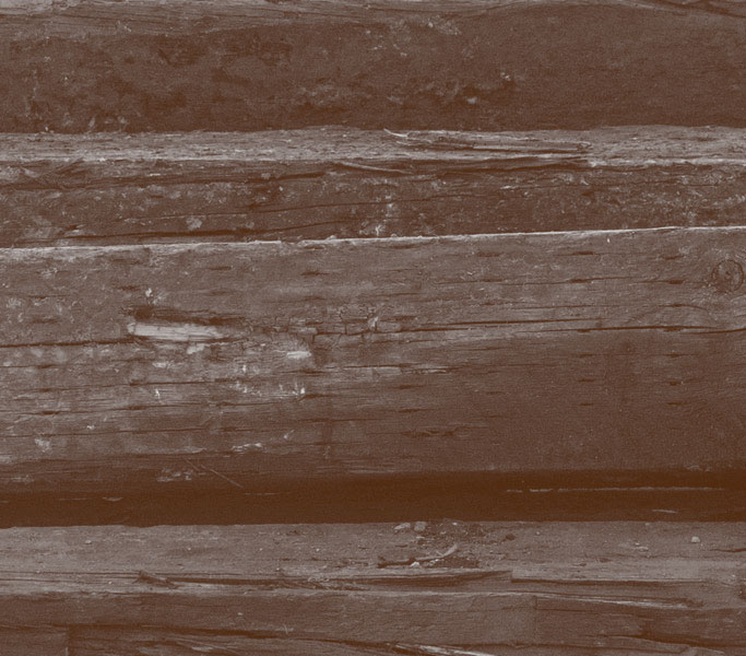 TrackLine Services Railroad Tie Pickup